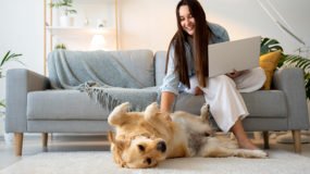 Apartmanda Köpek Beslemek: Hangi Irklar Uygun?