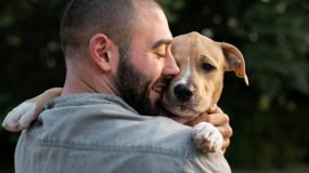 Bir Köpek Sahiplenirken Nelere Dikkat Etmeliyiz?