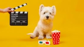 Hayvanseverlerin Favorisi: Köpekli Filmler