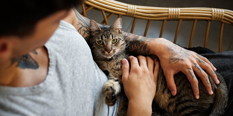 Read more about the article Pet Sahiplenirken Bilinmesi Gerekenler